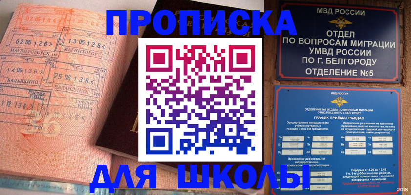 прописка иностранных граждан в Дубне